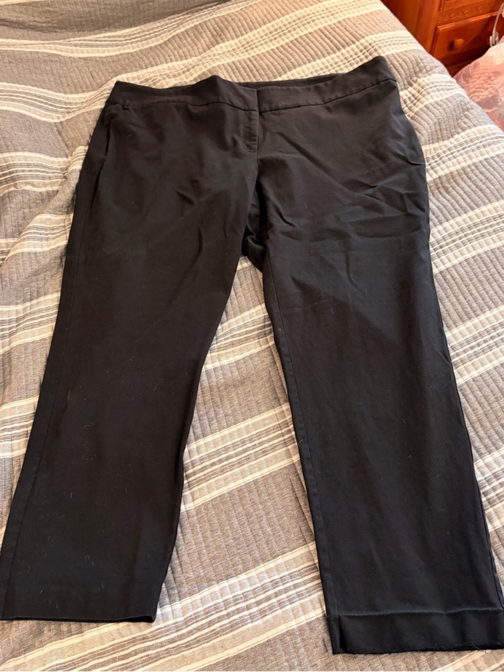 Alfani Plus Size 28w Black Straight Dress ankle pants with Clean Finish